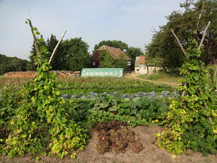 Der Hof Tomte mit Gemüsefeld – Nachhaltiges Leben auf dem Hof – vorgestellt bei bring-together